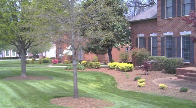 ... Lawn Care | American Dream Lawn and Home Care of Murfreesboro, TN