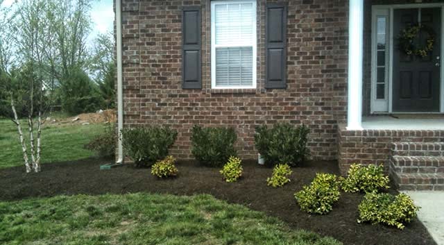 ... Lawn Care | American Dream Lawn and Home Care of Murfreesboro, TN